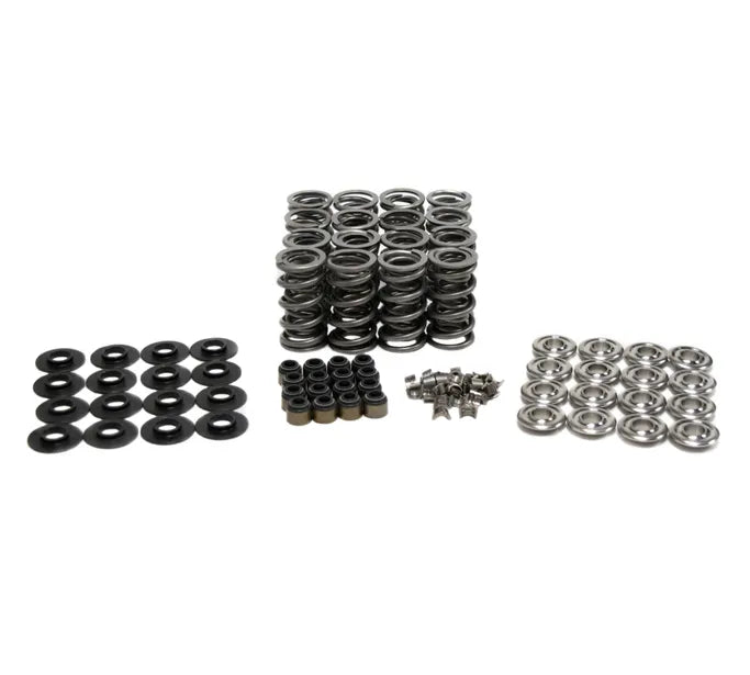 BTR DUAL SPRING KIT - .685" LIFT - SK702